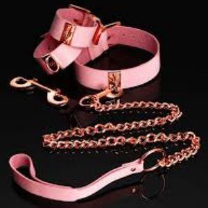 NWOT pink bondage kit
